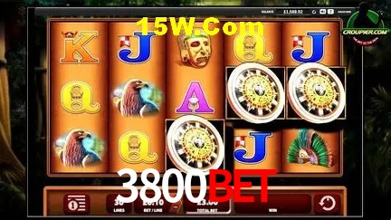 3800Bet Salvador - Statistics