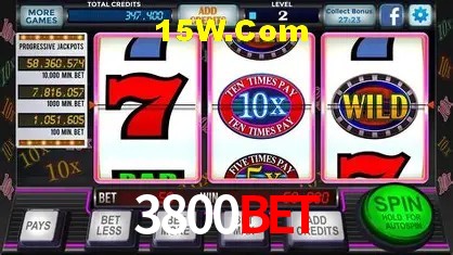 3800Bet - User Statistics